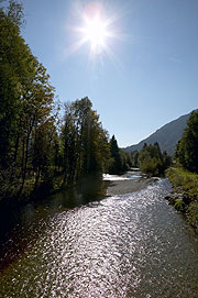 Fliegenfischen in der Urschlauer Ache im Chiemgau (Foto. Ortnerhof)